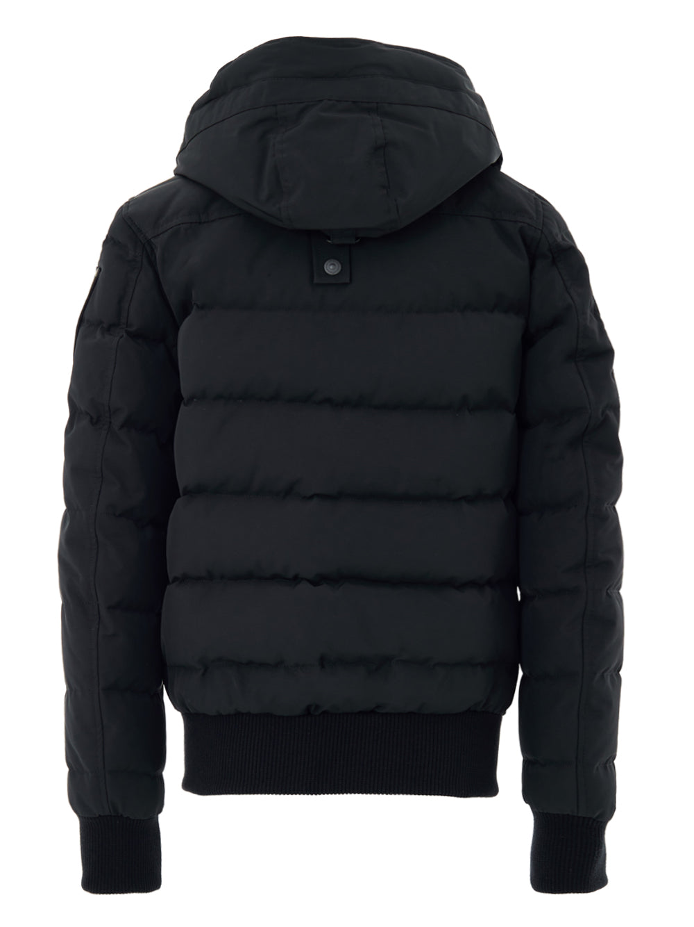 Moose Knuckles Jackets